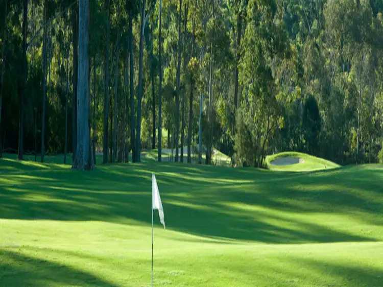 Third view of Homely land listing, 97 Coastal View Drive, Tallwoods Village NSW 2430