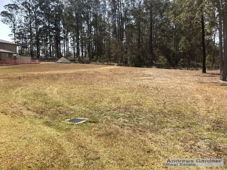 Main view of Homely land listing, 31 Grangewood Avenue, Tallwoods Village NSW 2430