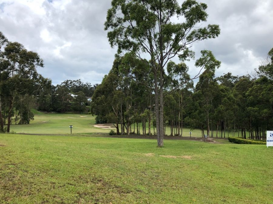 Main view of Homely land listing, 24 The Saddle, Tallwoods Village NSW 2430