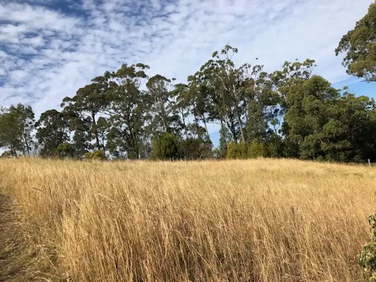 Second view of Homely land listing, 11 The Bridle Path, Tallwoods Village NSW 2430