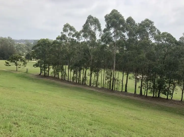 Main view of Homely land listing, 5 Golden Wattle Way, Tallwoods Village NSW 2430