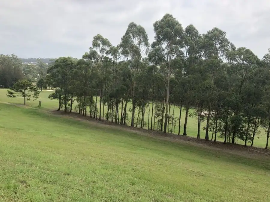 Main view of Homely land listing, 5 Golden Wattle Way, Tallwoods Village NSW 2430