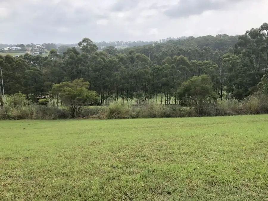 Main view of Homely land listing, 3 Bottle Brush Lane, Tallwoods Village NSW 2430