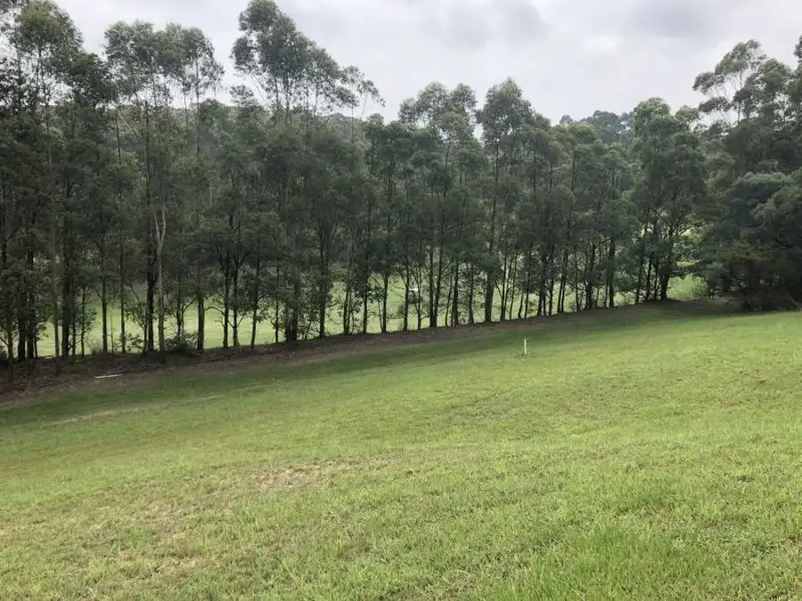 Main view of Homely land listing, 7 Golden Wattle Way, Tallwoods Village NSW 2430