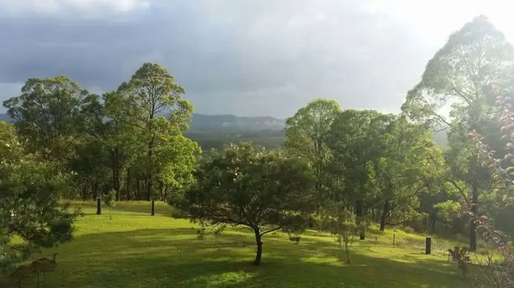 Main view of Homely rural property listing, 970 Wang Wuak Road, Wang Wauk NSW 2423