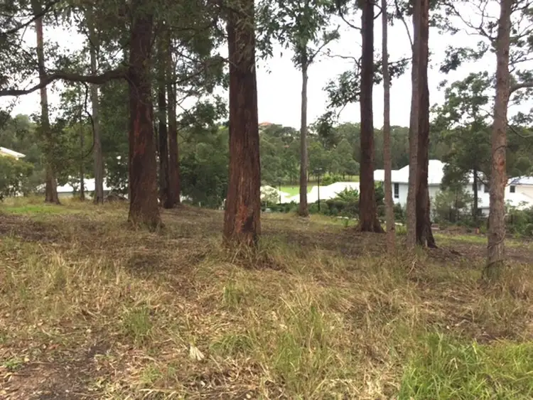 Third view of Homely land listing, 15 The Boulevarde, Tallwoods Village NSW 2430
