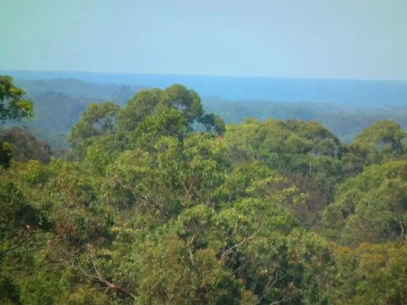 Main view of Homely land listing, 190 Winmurra Drive, Rainbow Flat NSW 2430