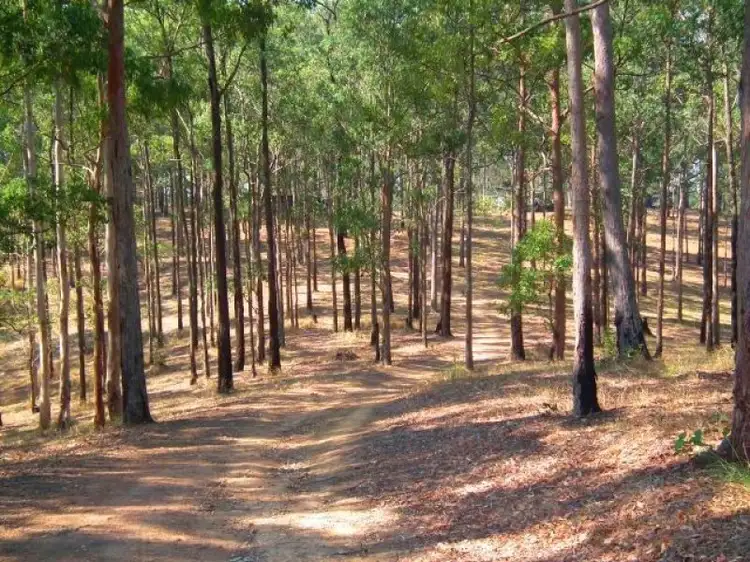 Fourth view of Homely land listing, 190 Winmurra Drive, Rainbow Flat NSW 2430