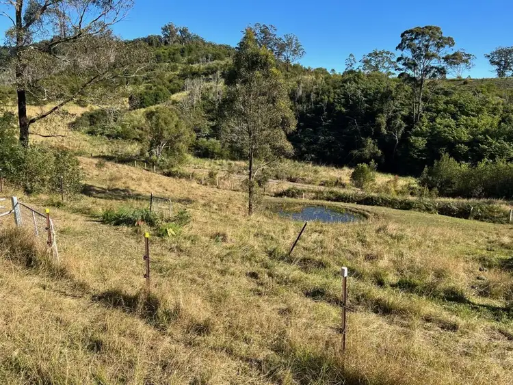 Fourth view of Homely rural property listing, 1085 Pappinbarra Road, Pappinbarra NSW 2446
