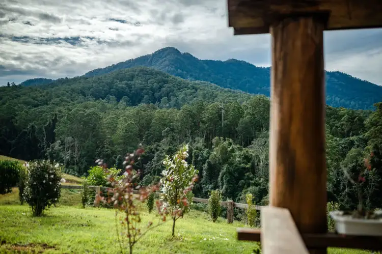 Third view of Homely rural property listing, 758 Summervilles Road, Bellingen NSW 2454