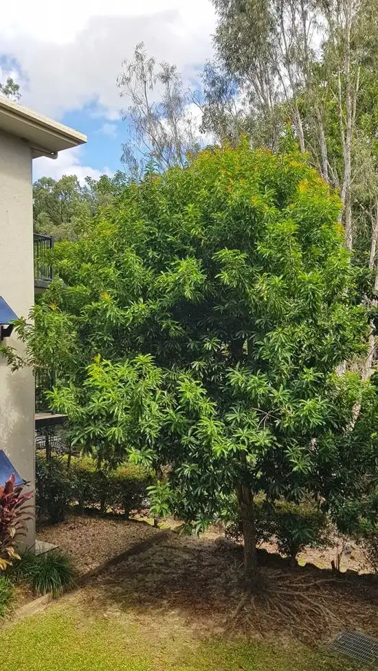 Main view of Homely unit listing, 1003 40 Clifton Road, Clifton Beach QLD 4879