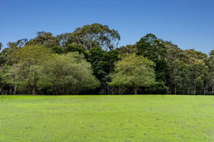 Fifth view of Homely land listing, 3 Palmer Street, Winchelsea VIC 3241
