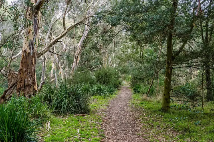 Seventh view of Homely land listing, 3 Palmer Street, Winchelsea VIC 3241