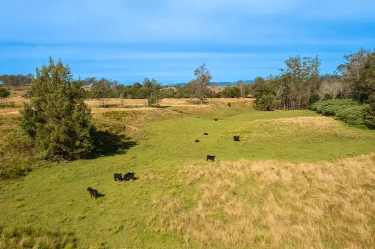 Second view of Homely rural property listing, 151 Secombs Lane, Hickeys Creek NSW 2440