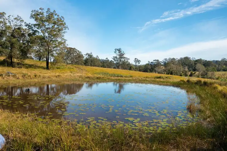 Fourth view of Homely rural property listing, 151 Secombs Lane, Hickeys Creek NSW 2440