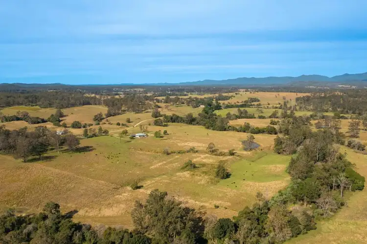 Fifth view of Homely rural property listing, 151 Secombs Lane, Hickeys Creek NSW 2440