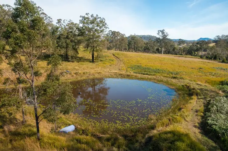 Seventh view of Homely rural property listing, 151 Secombs Lane, Hickeys Creek NSW 2440