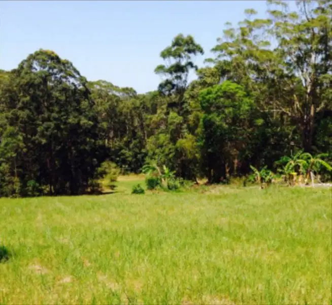 Second view of Homely house listing, 498 Bunya Rd, North Arm QLD 4561