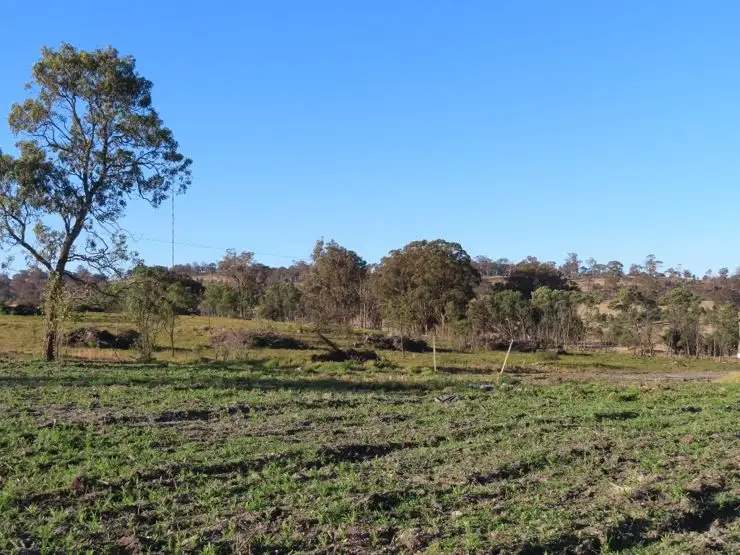 Main view of Homely land listing, Lot 2 Border Gate Road, Cottonvale QLD 4375