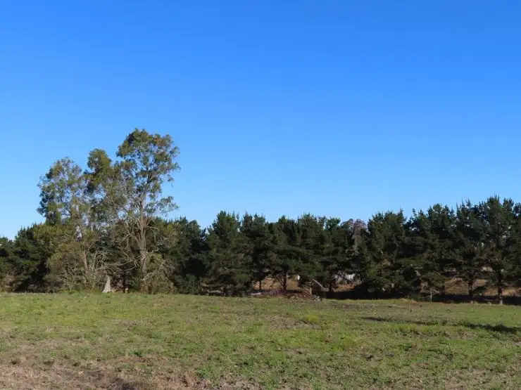 Second view of Homely land listing, Lot 2 Border Gate Road, Cottonvale QLD 4375