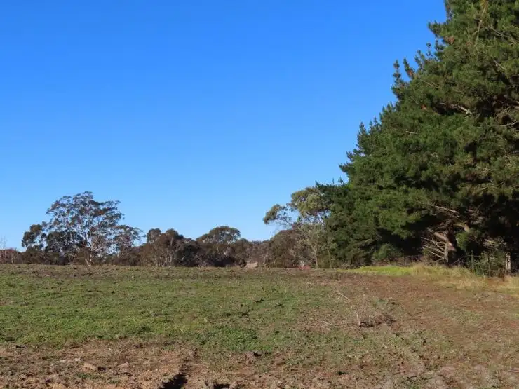 Fourth view of Homely land listing, Lot 2 Border Gate Road, Cottonvale QLD 4375