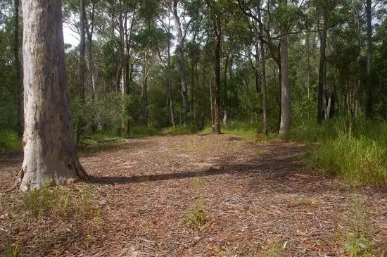 Fourth view of Homely rural property listing, Address available on request