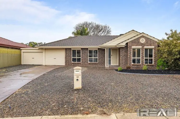 43 Greenfields Drive, Andrews Farm SA 5114