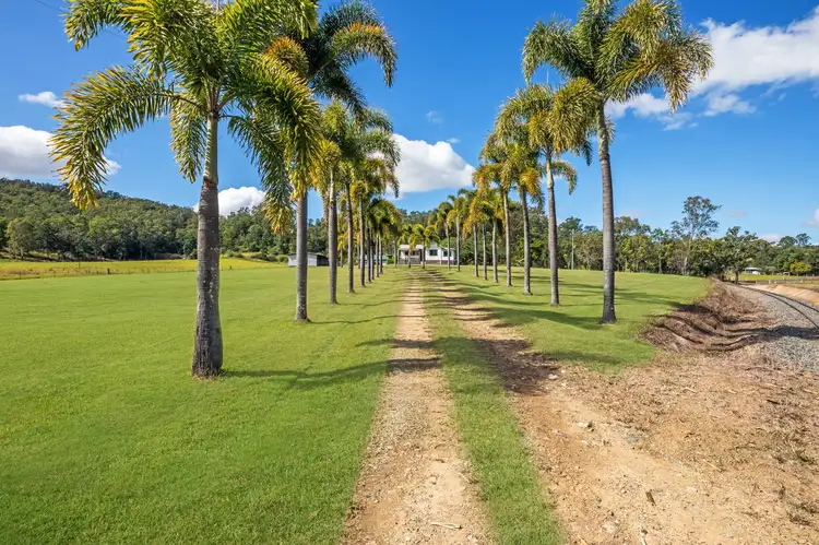 Fifth view of Homely house listing, 264 Owens Creek Loop Road, Gargett QLD 4741