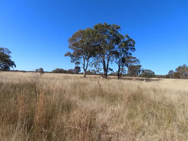 Second view of Homely rural property listing, 271 Thorndale Road, Broadwater QLD 4380
