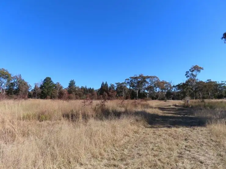 Seventh view of Homely rural property listing, 271 Thorndale Road, Broadwater QLD 4380