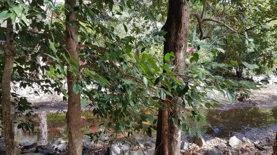 Main view of Homely unit listing, 1802 40 Clifton Road, Clifton Beach QLD 4879