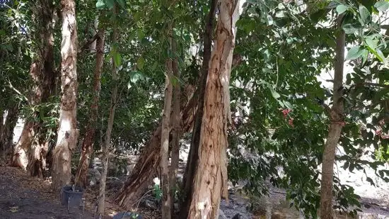 Second view of Homely unit listing, 1802 40 Clifton Road, Clifton Beach QLD 4879