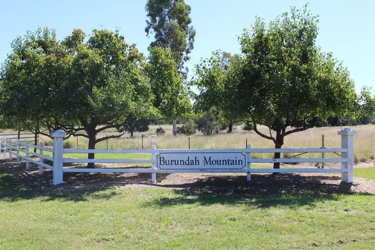 Main view of Homely land listing, Online Auction September 2022, Warialda NSW 2402