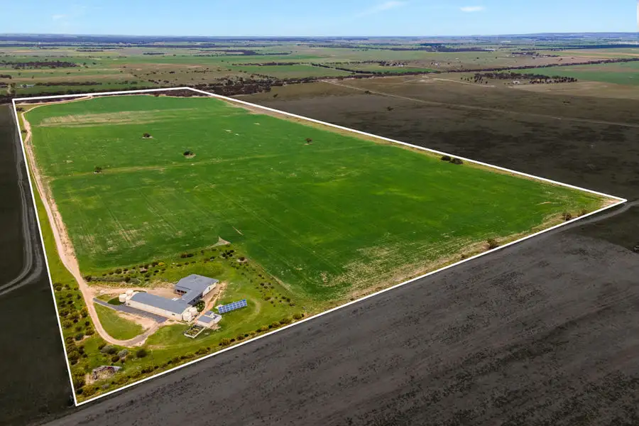 Main view of Homely house listing, 539 Bowhill Road, Murray Bridge East SA 5253