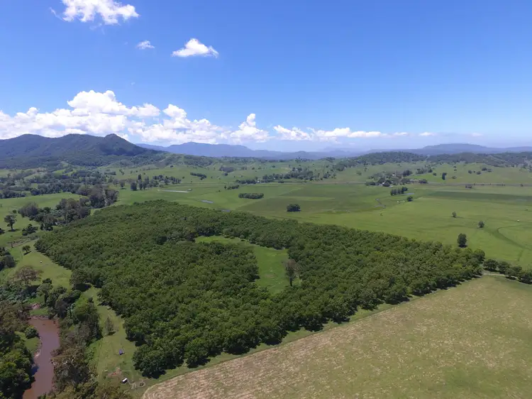 139 Homestead Road, Kyogle NSW 2474