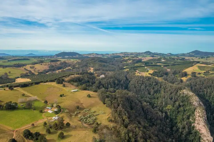 Sixth view of Homely rural property listing, 313 Ducks Ridge Road, Comboyne NSW 2429