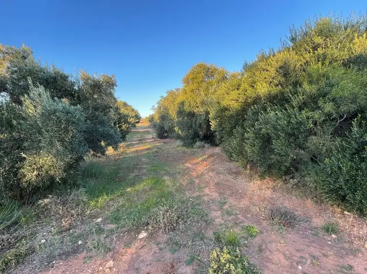 458 Mitchellville Road, Cowell SA 5602
