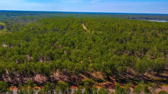 Second view of Homely rural property listing, 295 Girraween Rd, Girraween NT 836