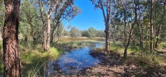 Third view of Homely rural property listing, 295 Girraween Rd, Girraween NT 836