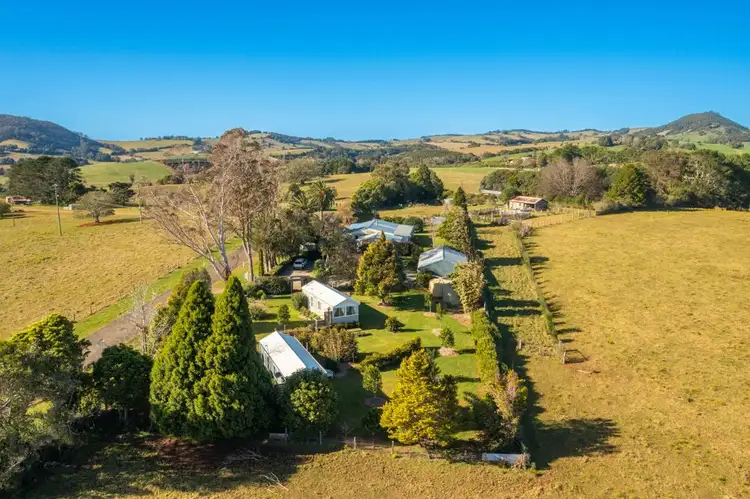 3731 Wingham Road, Comboyne NSW 2429