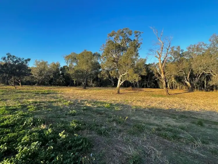 Sixth view of Homely land listing, Milray Pocket, Bendygleet Road, Moree NSW 2400