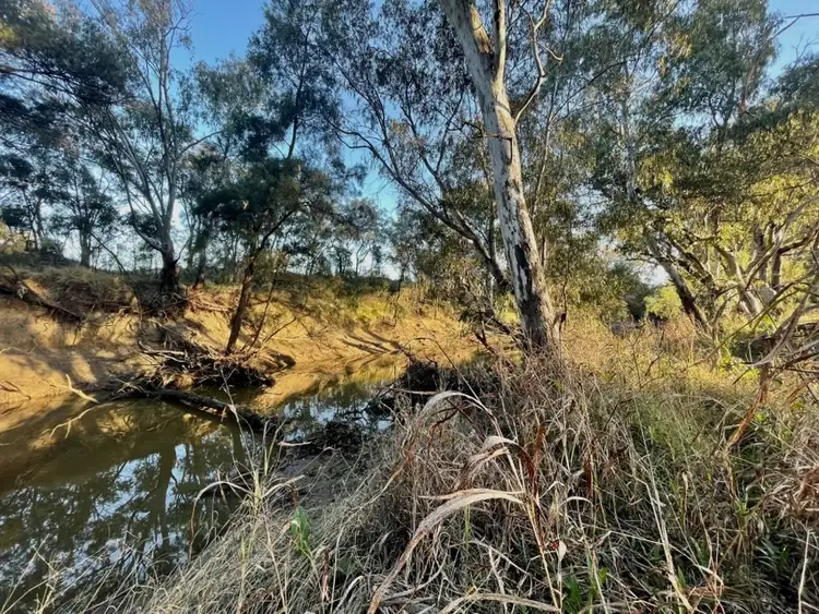 Seventh view of Homely land listing, Milray Pocket, Bendygleet Road, Moree NSW 2400
