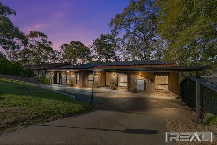 Third view of Homely house listing, 20 Pauline Drive, Surrey Downs SA 5126