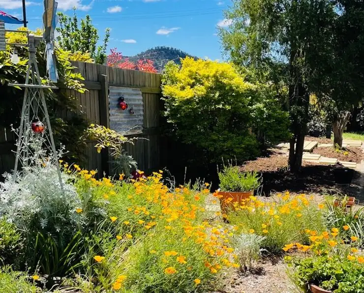 Third view of Homely house listing, 31 Bridge Street, Stanthorpe QLD 4380