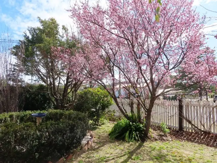 Seventh view of Homely house listing, 31 Bridge Street, Stanthorpe QLD 4380