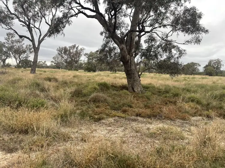Main view of Homely rural property listing, 92 Castlereagh Hightway, Walgett NSW 2832