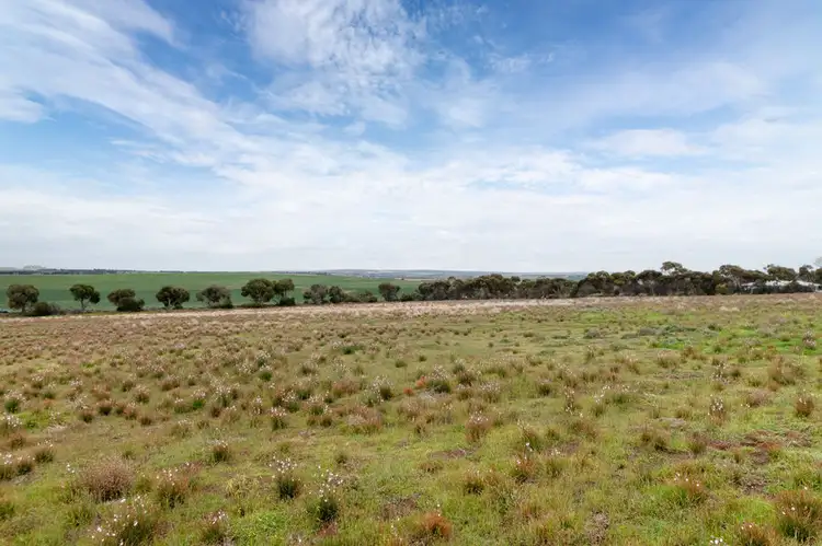 Fourth view of Homely land listing, 90 Murrawong Road, Murray Bridge East SA 5253
