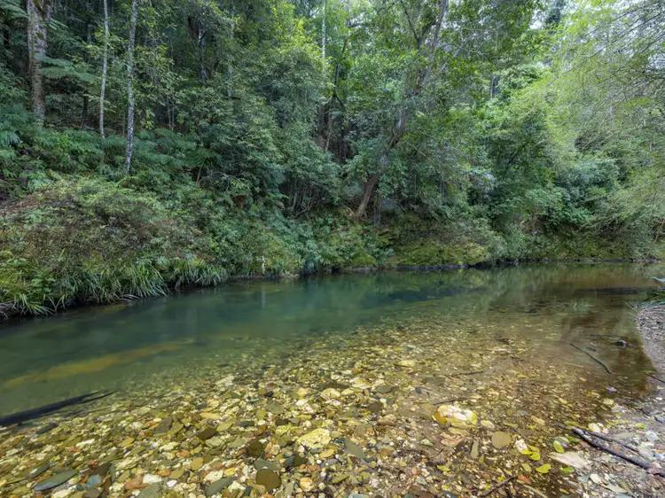 Main view of Homely land listing, 2525 Kalang Road, Bellingen NSW 2454