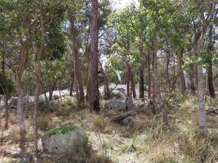 Third view of Homely rural property listing, 200 Rogers Road, Applethorpe QLD 4378