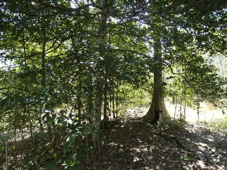 Fourth view of Homely rural property listing, Lot 7 Coast Road, Baffle Creek QLD 4674